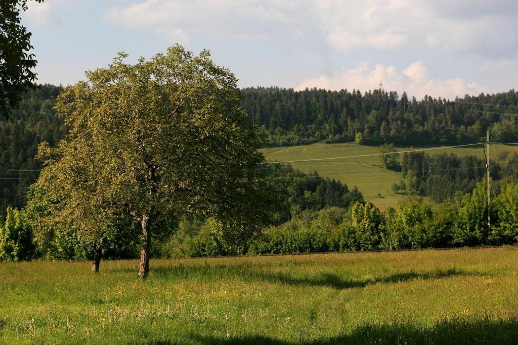 Hotel Rainhof Scheune & Naturpark Restaurant Kirchzarten Luaran gambar